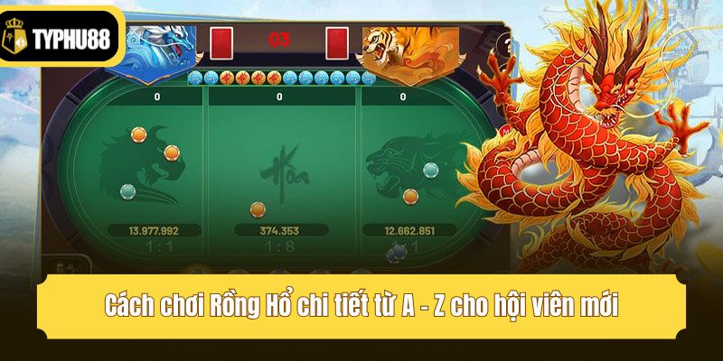 Cách chơi Rồng Hổ chi tiết từ A - Z cho hội viên mới