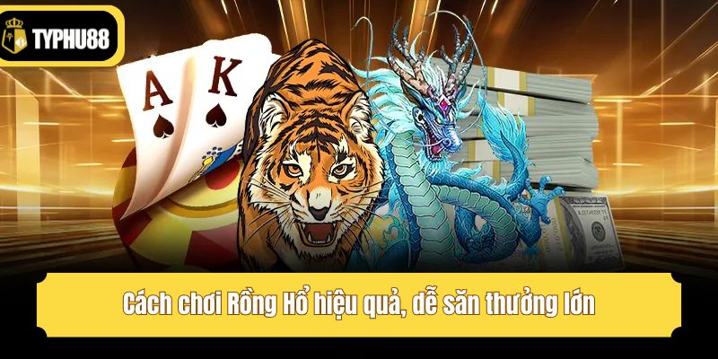 Cách chơi Rồng Hổ hiệu quả, dễ săn thưởng lớn