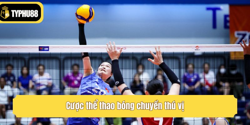 Cược thể thao bóng chuyền thú vị