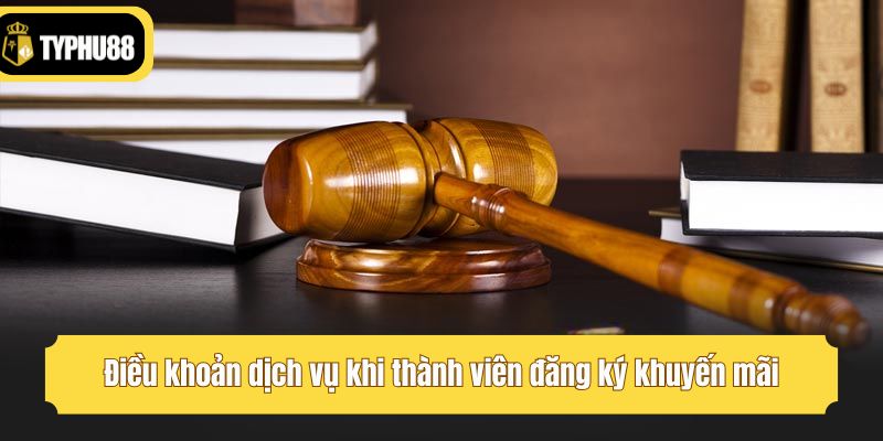 Điều khoản dịch vụ khi thành viên đăng ký khuyến mãi